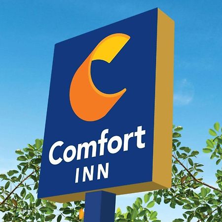 Comfort Inn Martinsville Zewnętrze zdjęcie