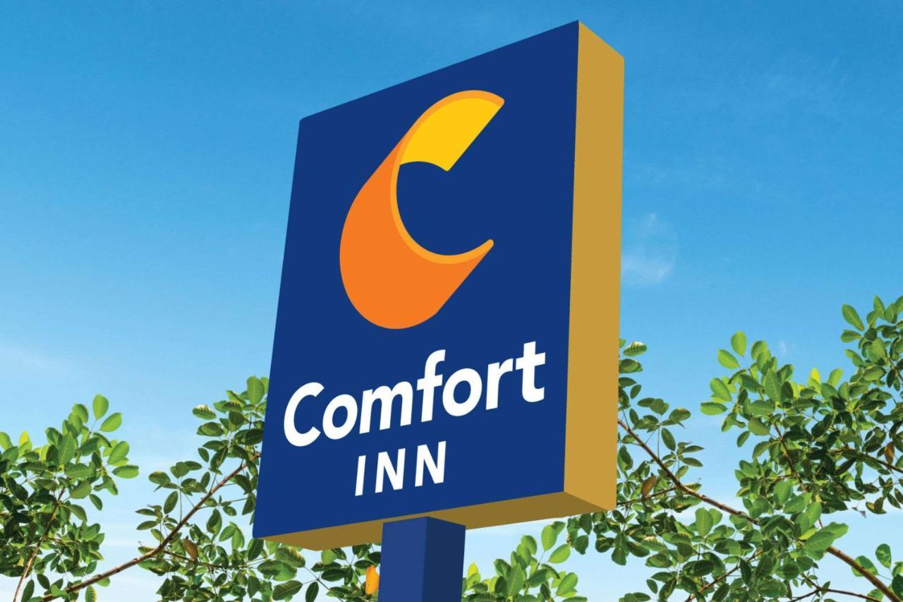 Comfort Inn Martinsville Zewnętrze zdjęcie